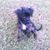Paul Diston's profile image