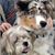 Shannon Greve Wildenradt's profile image