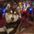 Nannette Crickett McMahan's profile image