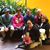 Susan Keays's profile image
