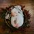 Holly Blood's profile image