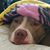 Jill Davenport-Wallace's profile image