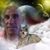 Pablo E. Rosales's profile image