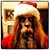 Brandon Engstrom's profile image