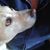 Cindy-Daisy Holmes's profile image