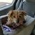 Jamie Gallion's profile image