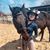 Lyric DeMaio's profile image