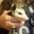 Leslie Chavers's profile image