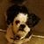 Pam Parrish's profile image