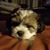 Lisa Zajac Jacques's profile image