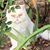 Jennifer Maitta's profile image