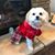 Libby Friedline Hill's profile image