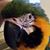 Fred Jones's profile image