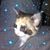 Kaline Reine's profile image