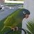Shaun Hessick's profile image