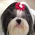 Carolyn Cates Royal's profile image