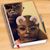 Chavon Anderson's profile image