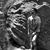 Utkarsh Pateriya's profile image