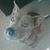 Kim Smith's profile image