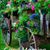 Pamela Fish-MaxwellMathews's profile image