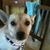 Peggy Centeno's profile image