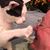 Jack Amos's profile image