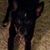 Kay Lavender Witherspoon's profile image