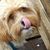 Jill M Weller's profile image