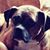 Jennifer Boyd's profile image