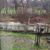 Carol Smalley's profile image