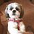 Irene Casari's profile image