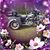 Annette Gollotte's profile image