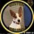 Susan Hochmuth Jordan's profile image