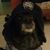 Mark Anthony's profile image