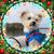 Gretchen Gelman Stone's profile image