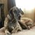 Patsy Kee's profile image