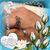 Anthony Agard's profile image
