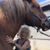 Sue Curtis's profile image