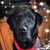 Julie Cote Keen's profile image