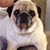 Barry Brawley's profile image