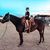 Joseph F. Ramaglia-Claire's profile image
