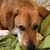Jamie Ritch-Duvall's profile image