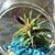 Debbie Egan Shook's profile image