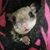 Brenda Herron's profile image