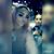 Melissa J. Cisneros's profile image