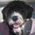 David And Ann Warnes's profile image
