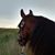 Dawn Simpson's profile image