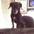 Heather Herndon's profile image