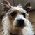 Maria Pugliese's profile image