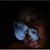 Nakia Polk's profile image